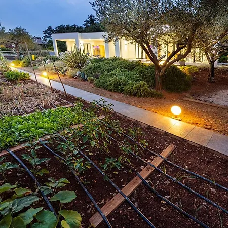 Goldimare Garden אומאג